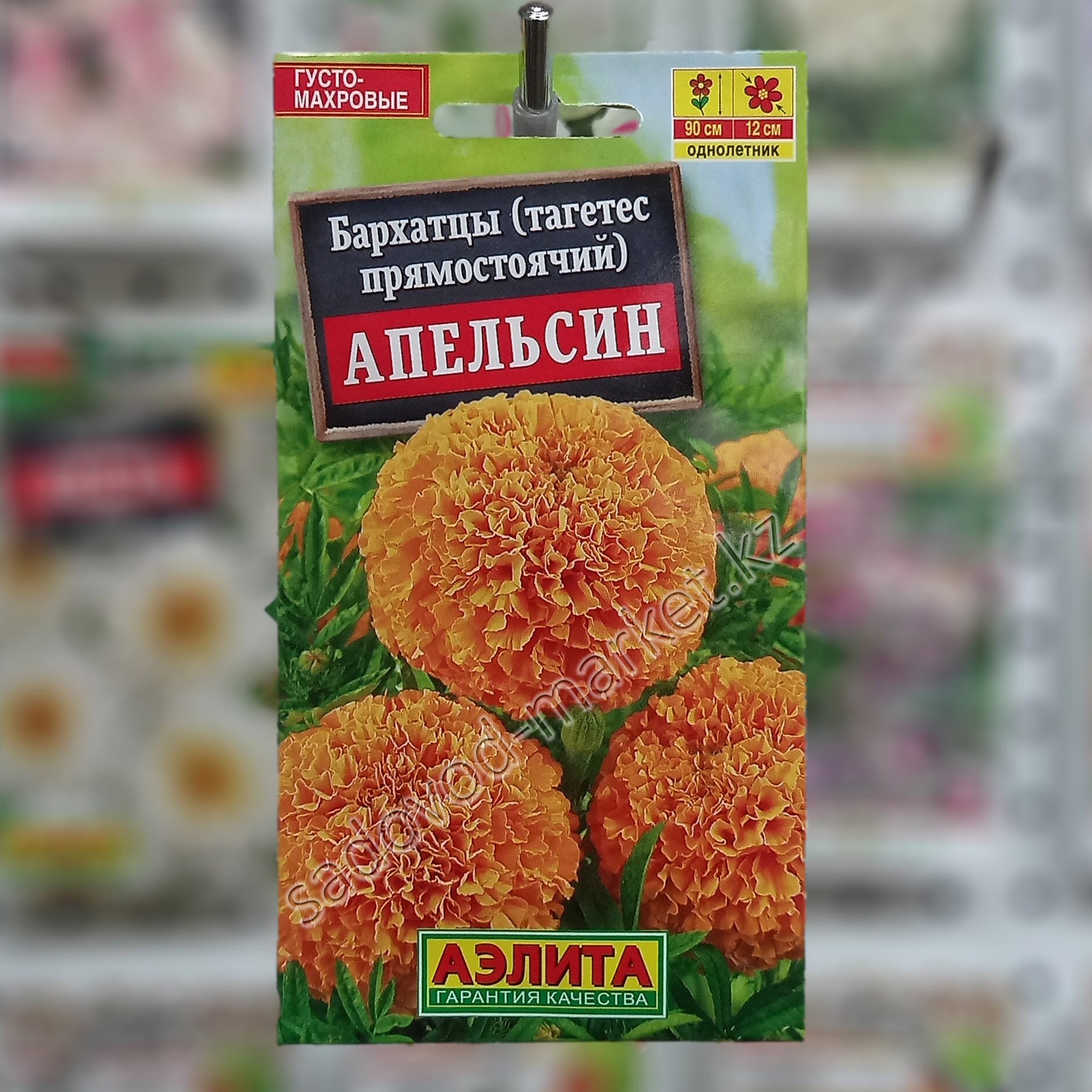 Бархатцы апельсин