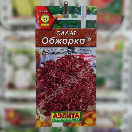 Обжорка аэлита салат