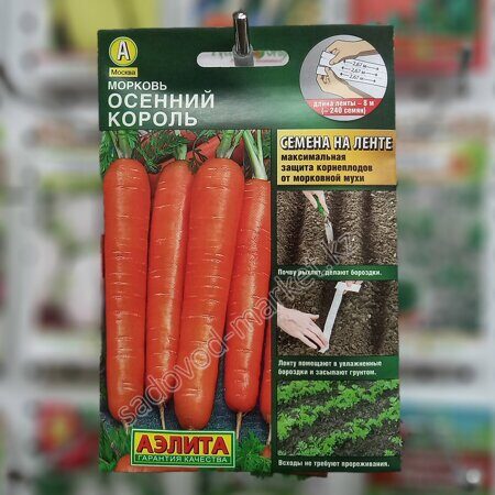 Осенний король морковь на ленте