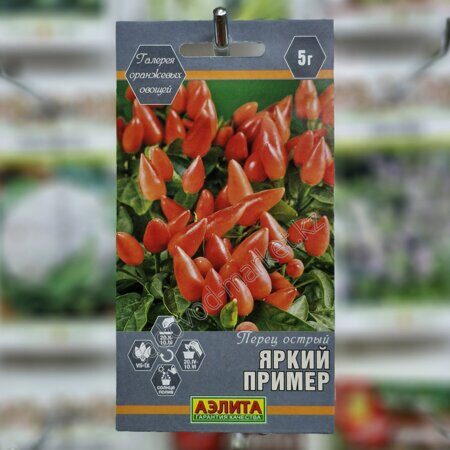 Острый яркий пример перец