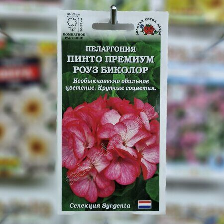 Пеларгония пинто премиум роуз биколор