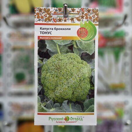 Брокколи тонус капуста