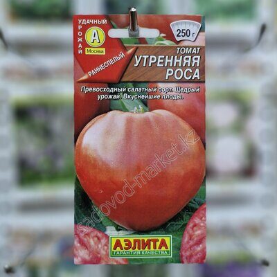 Утренняя роса розовая  томат