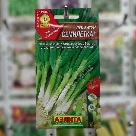 Батун семилетка лук