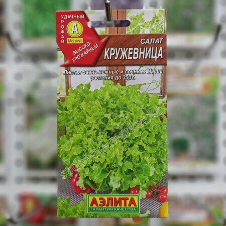Кружевница салат