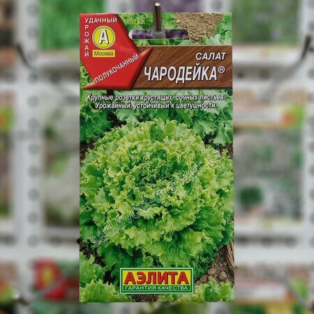 Чародейка салат