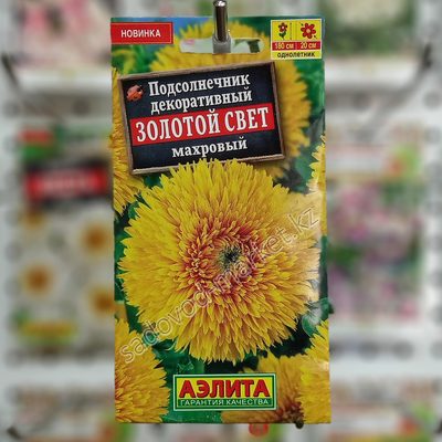 Подсолнечник золотой свет