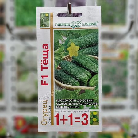 Теща 1+1 гавриш огурец