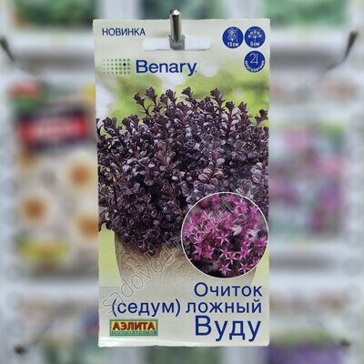 Очиток ложный вуду