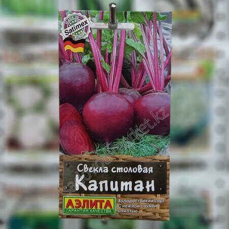 Капитан свекла