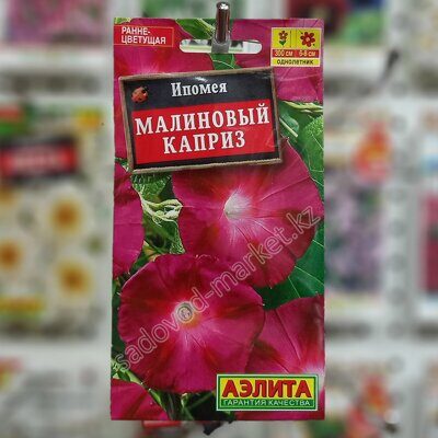 Ипомея малиновый каприз