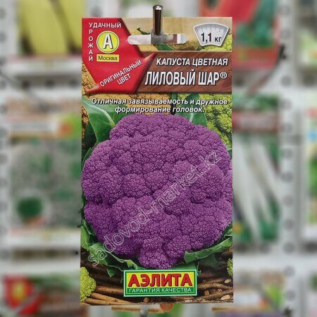 Цветная лиловый шар капуста