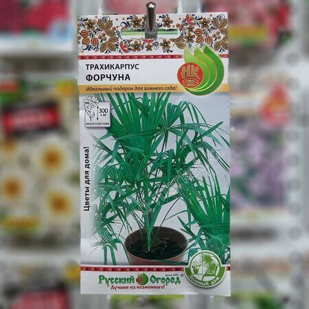 Трахикарпус форчуна
