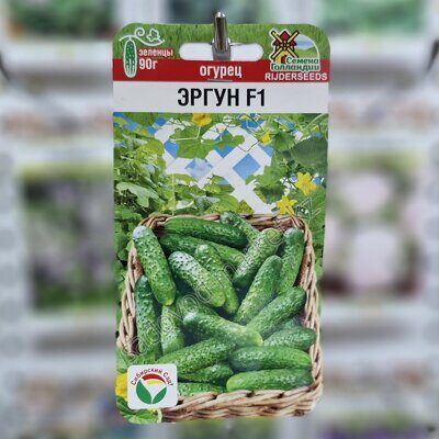 Эргун огурец