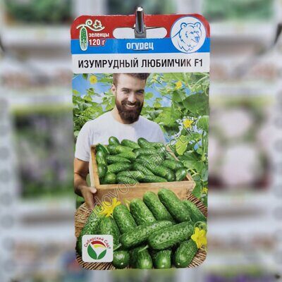Изумрудный любимчик огурец