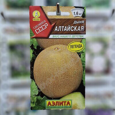 Алтайская аэлита дыня