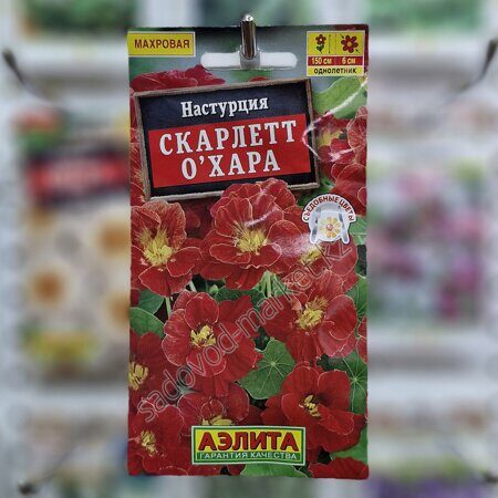 Настурция скарлет о хара аэлита