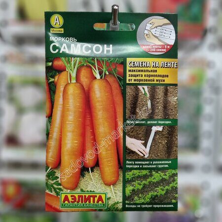 Самсон морковь на ленте