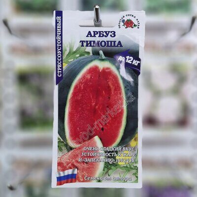 Тимиоша  арбуз