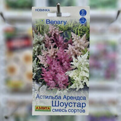Астильба шоустар смесь аэлита
