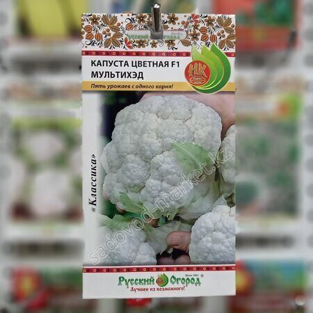 Цветная мультихэд капуста