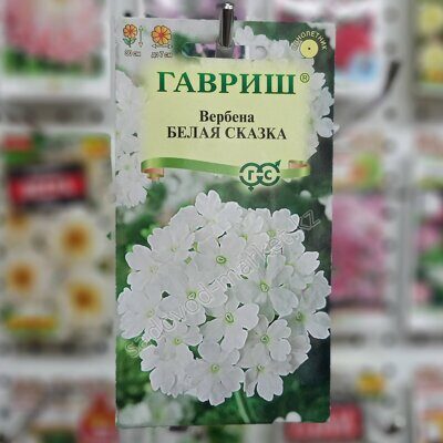 Вербена белая сказка