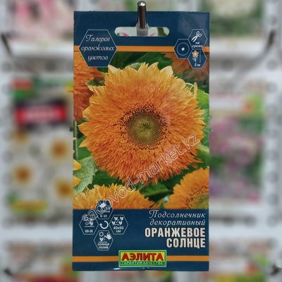Подсолнечник оранжевое солнце