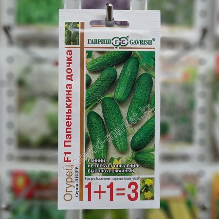 Папенькина дочка 1+1 гавриш огурец