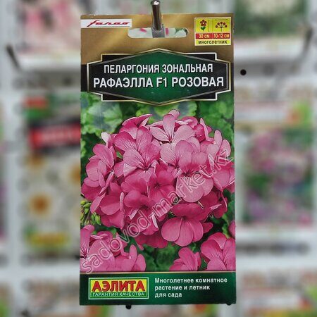 Пеларгония рафаэлла розовая