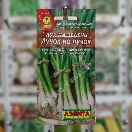 На зелень лучок на пучок лук