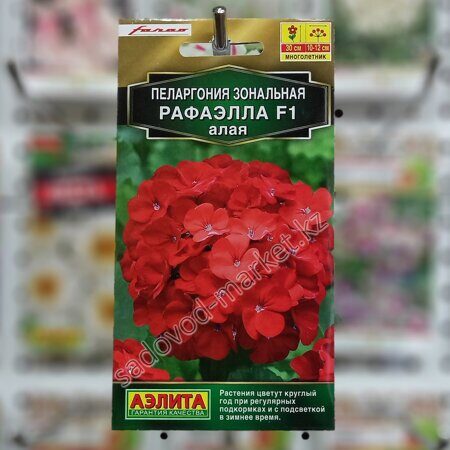 Пеларгония рафаэлла алая