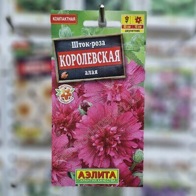 Шток-роза королевская алая аэлита