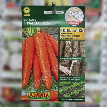 Нииох 336 аэлита морковь на ленте