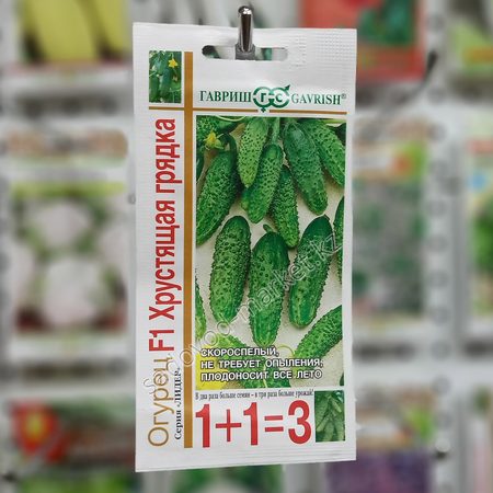 Хрустящая грядка 1+1 гавриш огурец