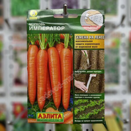 Император аэлита морковь на ленте