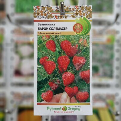 Земляника барон солемахер