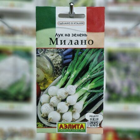 На зелень милано лук