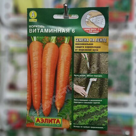 Витаминная аэлита морковь на ленте