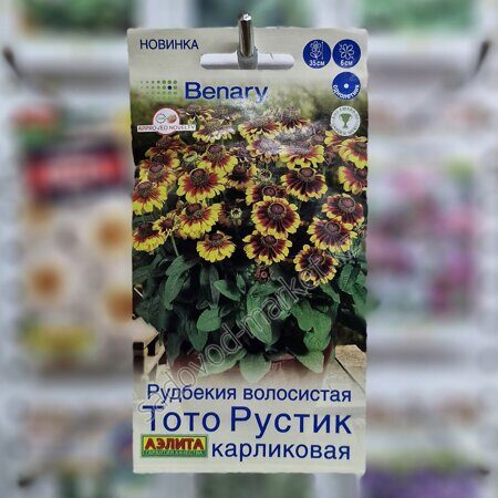 Рудбекия тото рустик карликовая