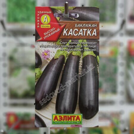 Касатка баклажан