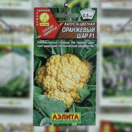 Цветная оранжевый шар капуста