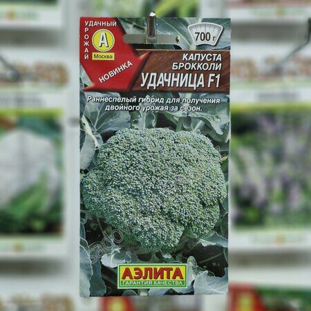 Брокколи удачница капуста