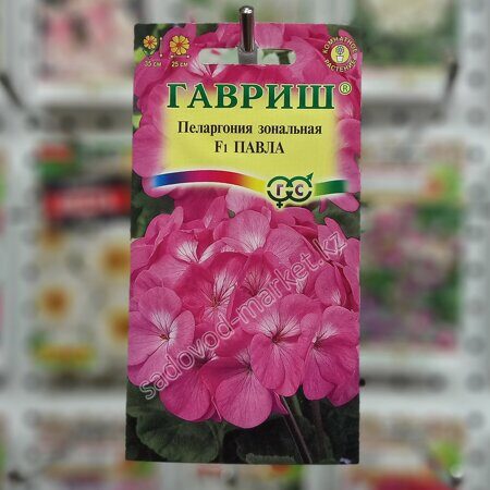 Пеларгония павла