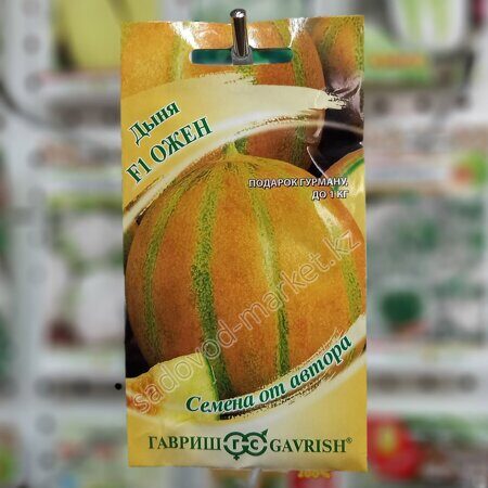 Ожен дыня