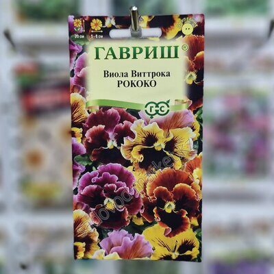 Виола рококо гавриш