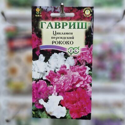 Цикламен рококо
