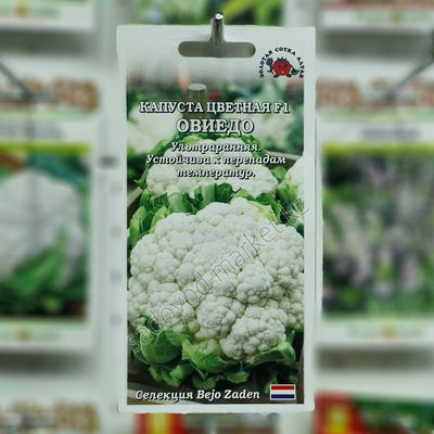 Цветная овиедо капуста