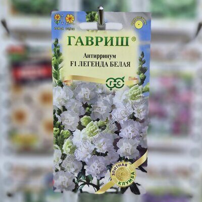 Антирринум легенда белая