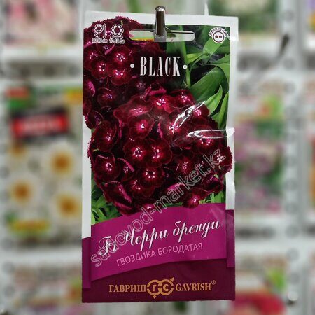 Гвоздика черри бренди