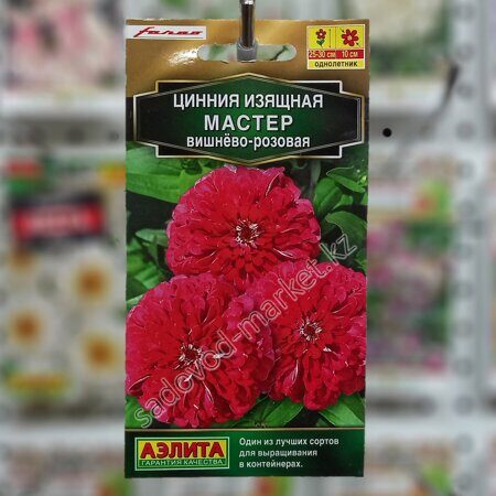 Цинния мастер вишнево-розовая